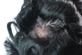 Load image into Gallery viewer, NG| 0.03mm Thinnest Skin with 90% Density Human Hair Wigs